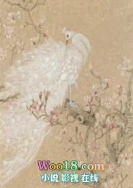 越鸟舞台妆步骤